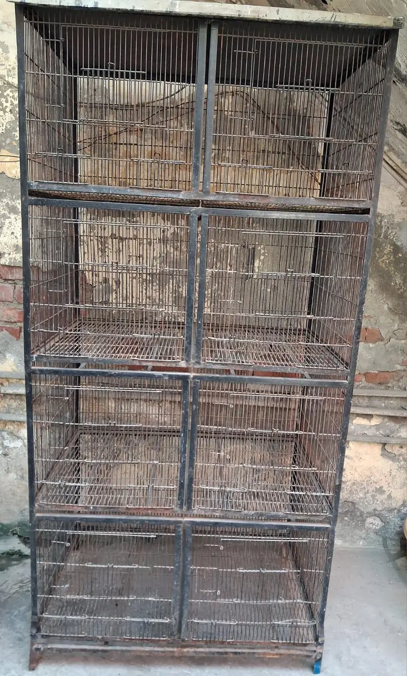 birds cage — photo 2