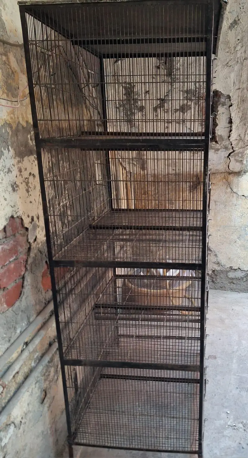birds cage — photo 3