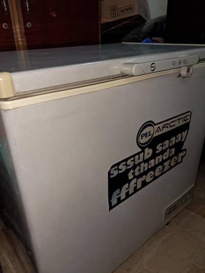 Pel Deep Freezer (2 Months Used)