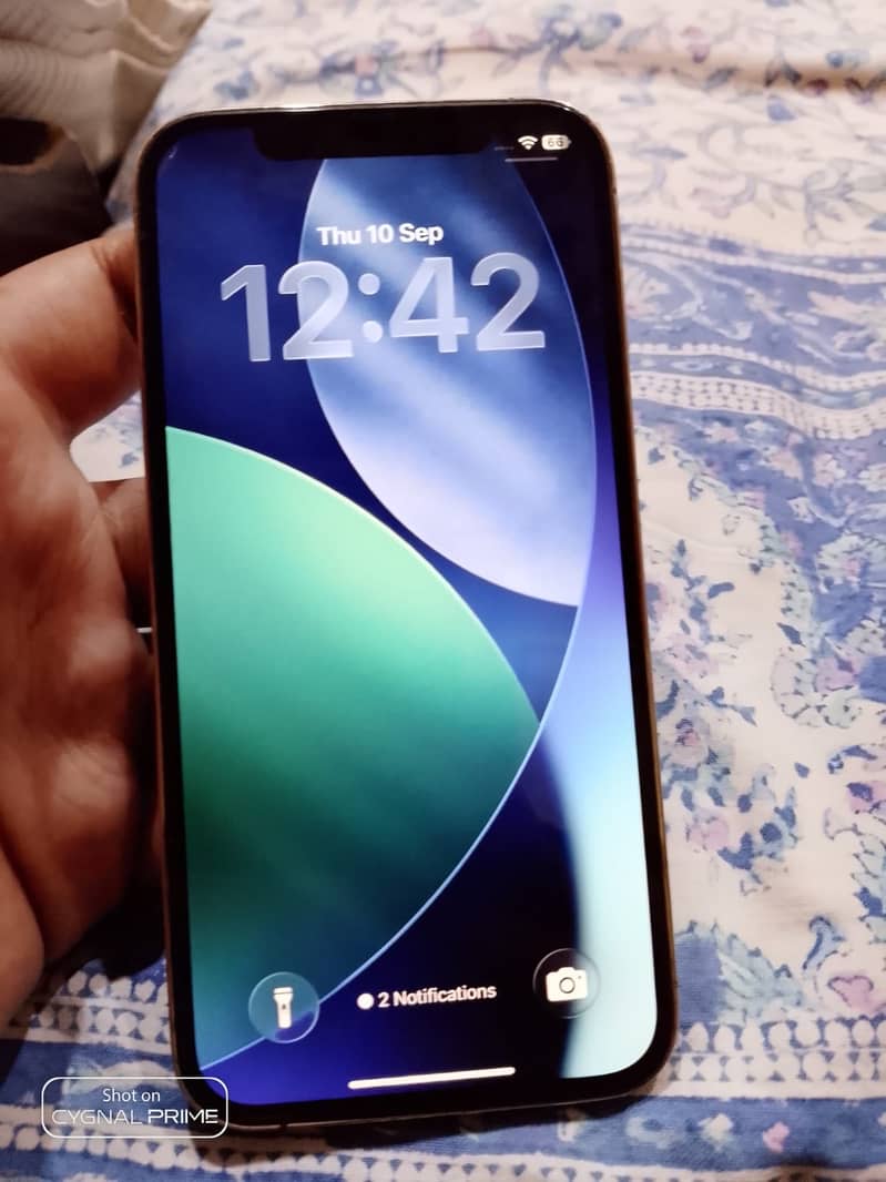 Apple iPhone 12 Pro 4