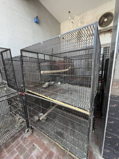 Cage for Raw
