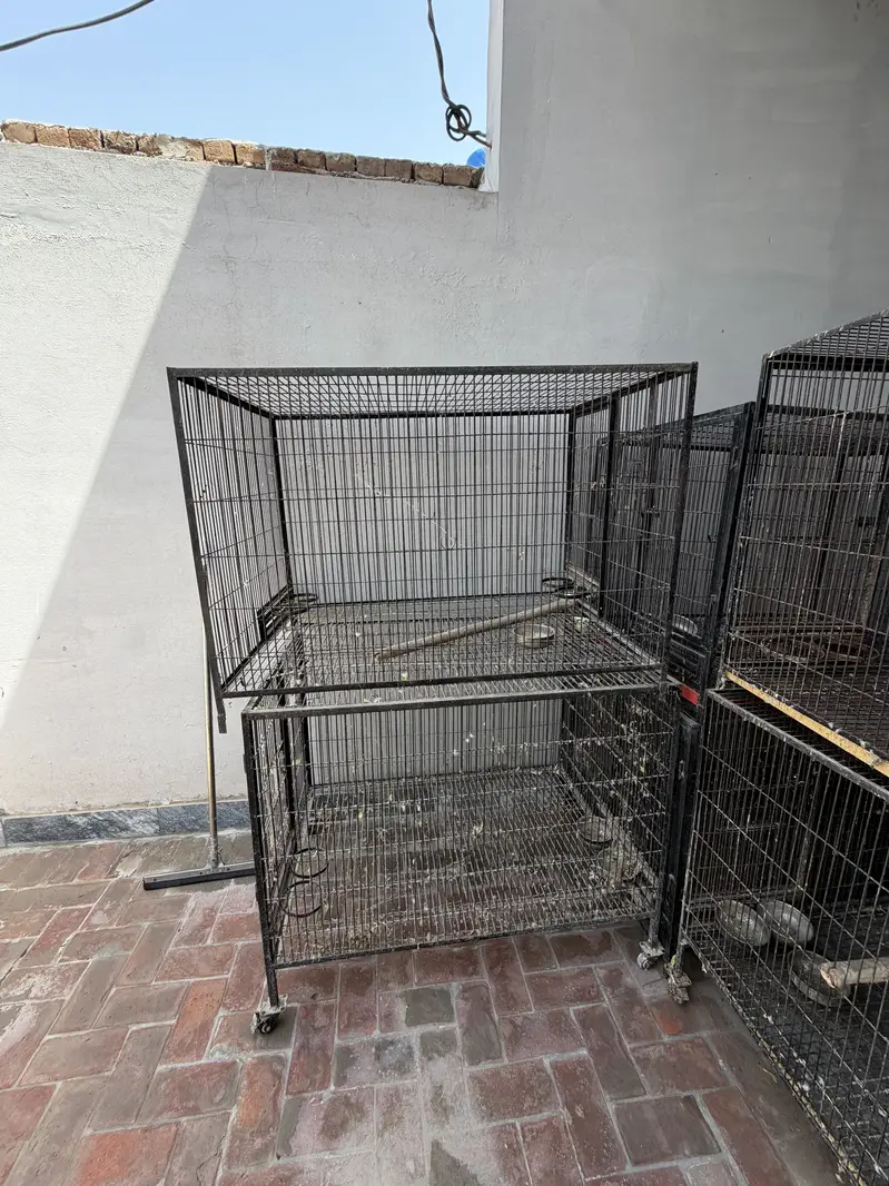 Cage for Raw — photo 3