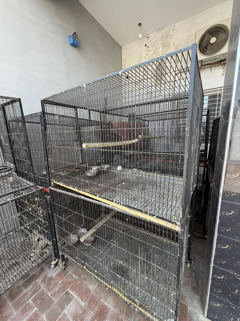 Cage for Raw — photo 4