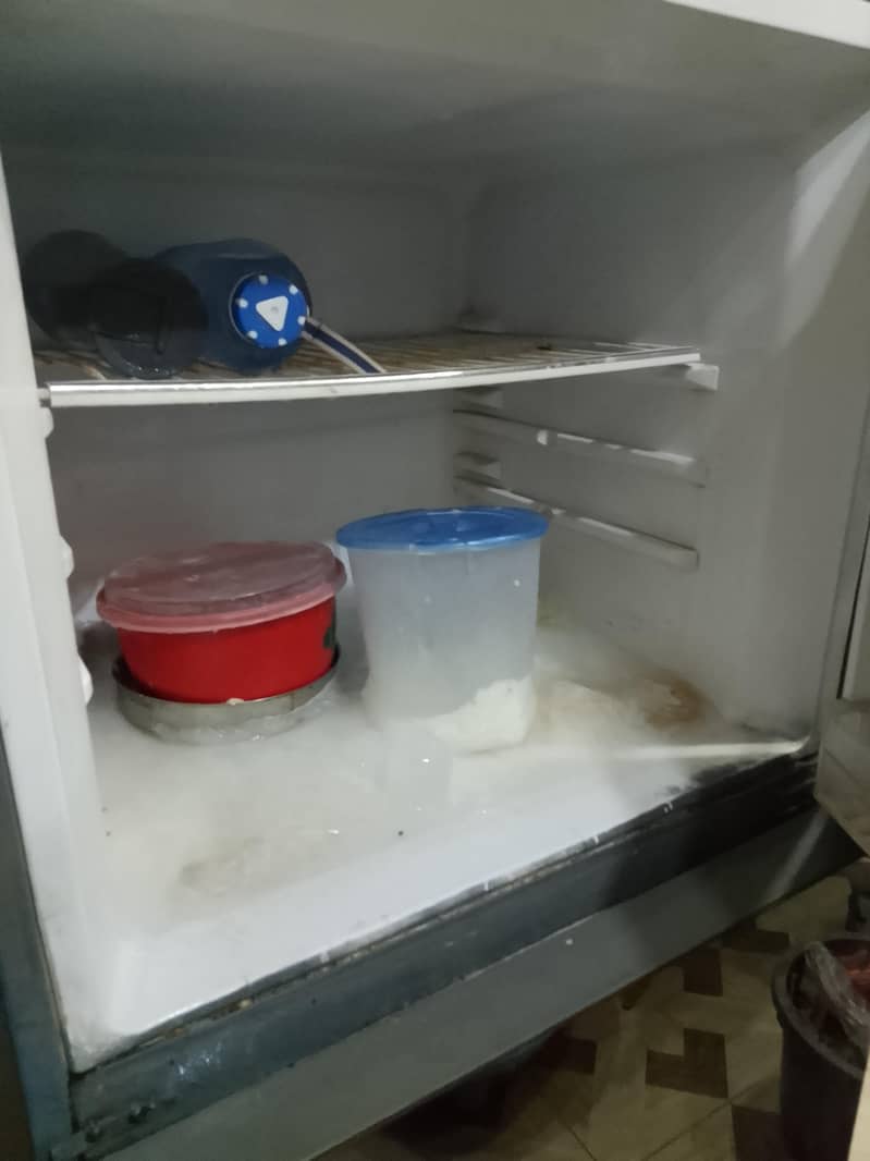 fridge 4