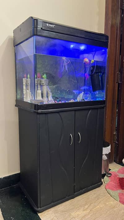Acrylic Fish Aquarium and Cabinet