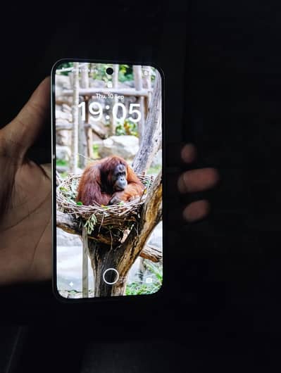 OPPO A6s pro