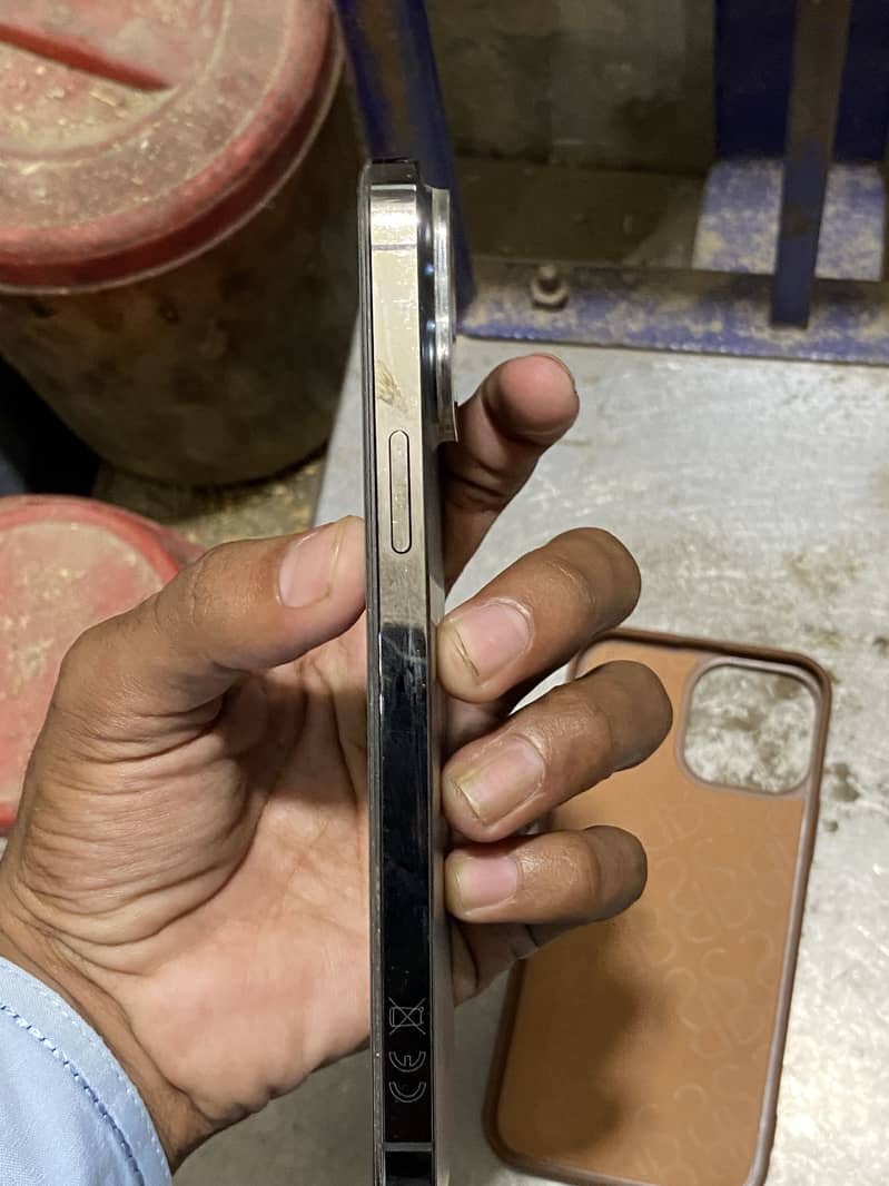 Apple iPhone 13 Pro Max 12