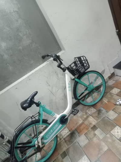 Chinese cycle