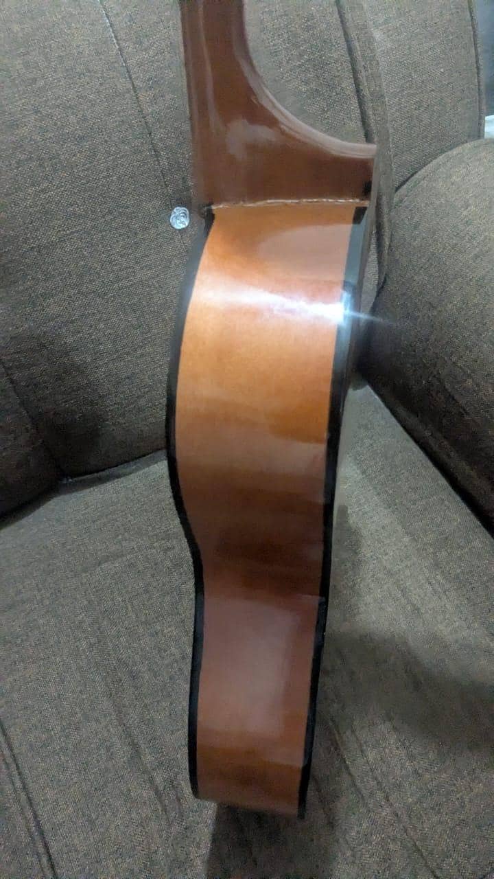 Guitar 5