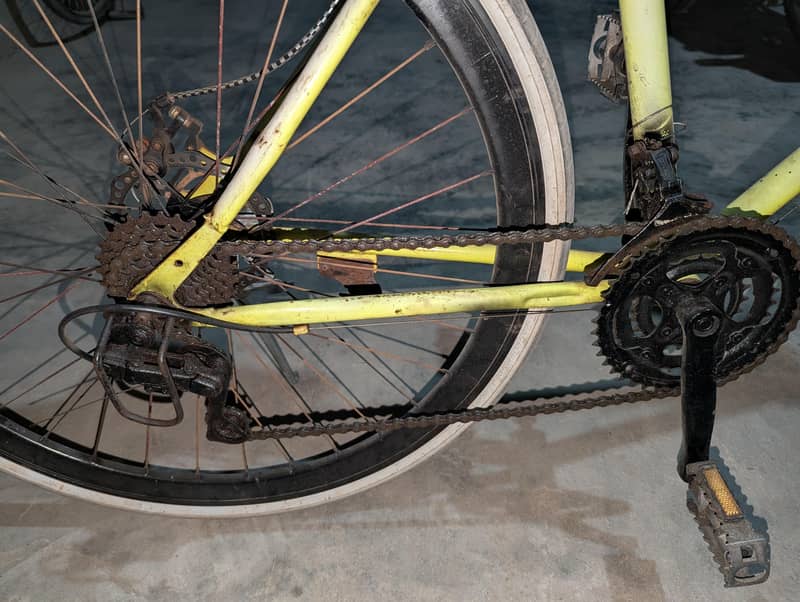 road climber scycle 1
