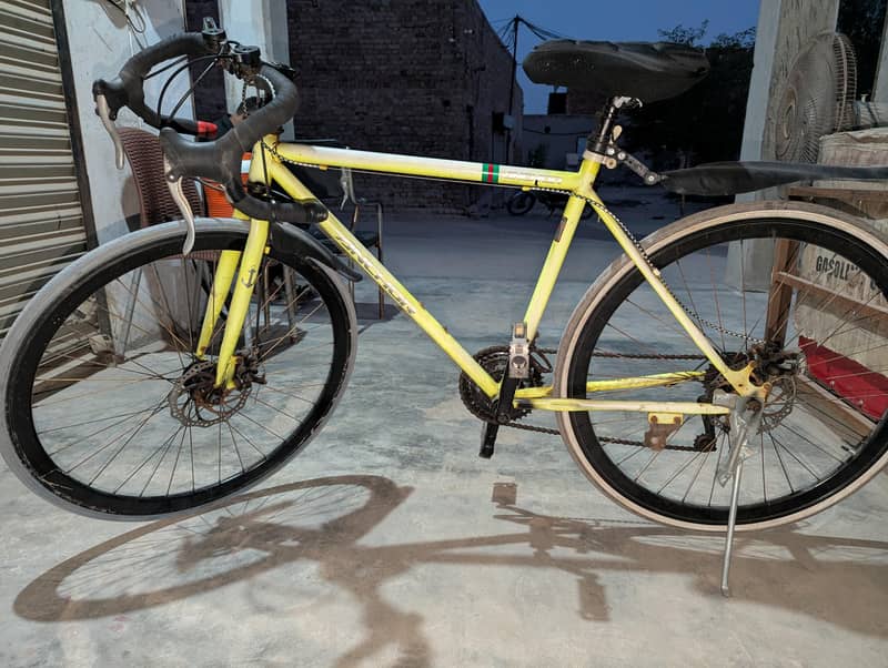 road climber scycle 2