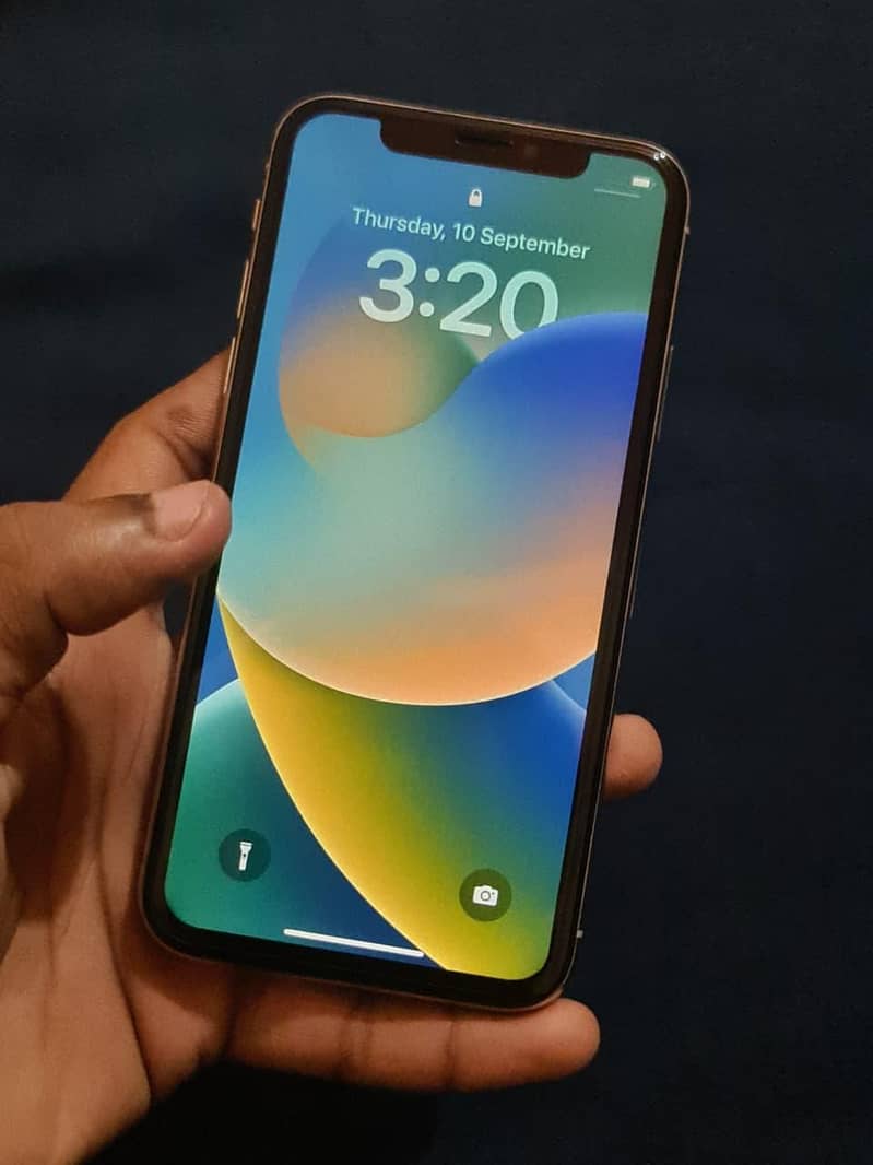 iPhone X approved 2