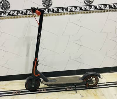 Wings Scooter