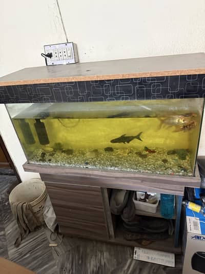 Aquarium