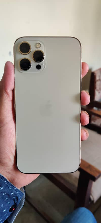 Apple iPhone 12 Pro Max