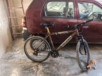 imported full size bicycle