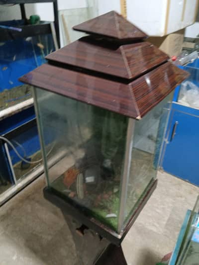 fish tank