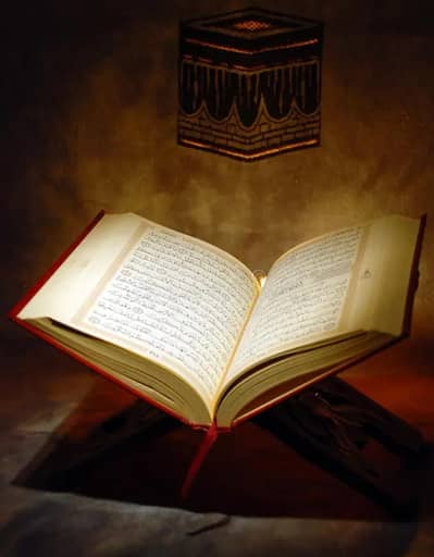 Hafiz e Quran Ghar a kar / Online Quran Tajweed ke sath  parhate han .