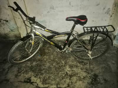 Phoneix Cycle