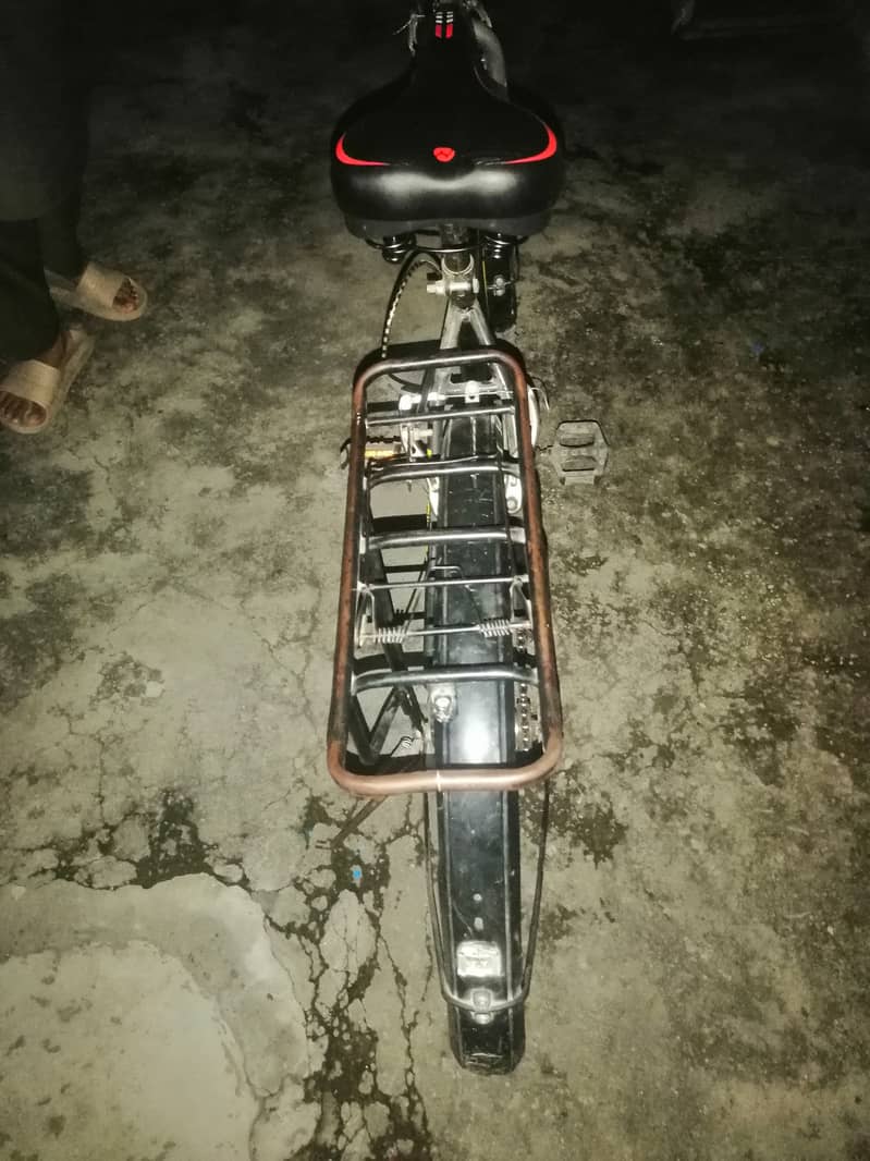 Phoneix Cycle 2