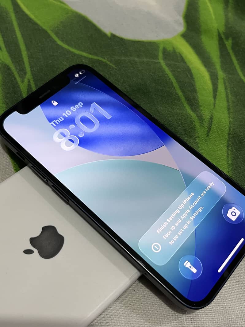 Apple iPhone 12 mini 1