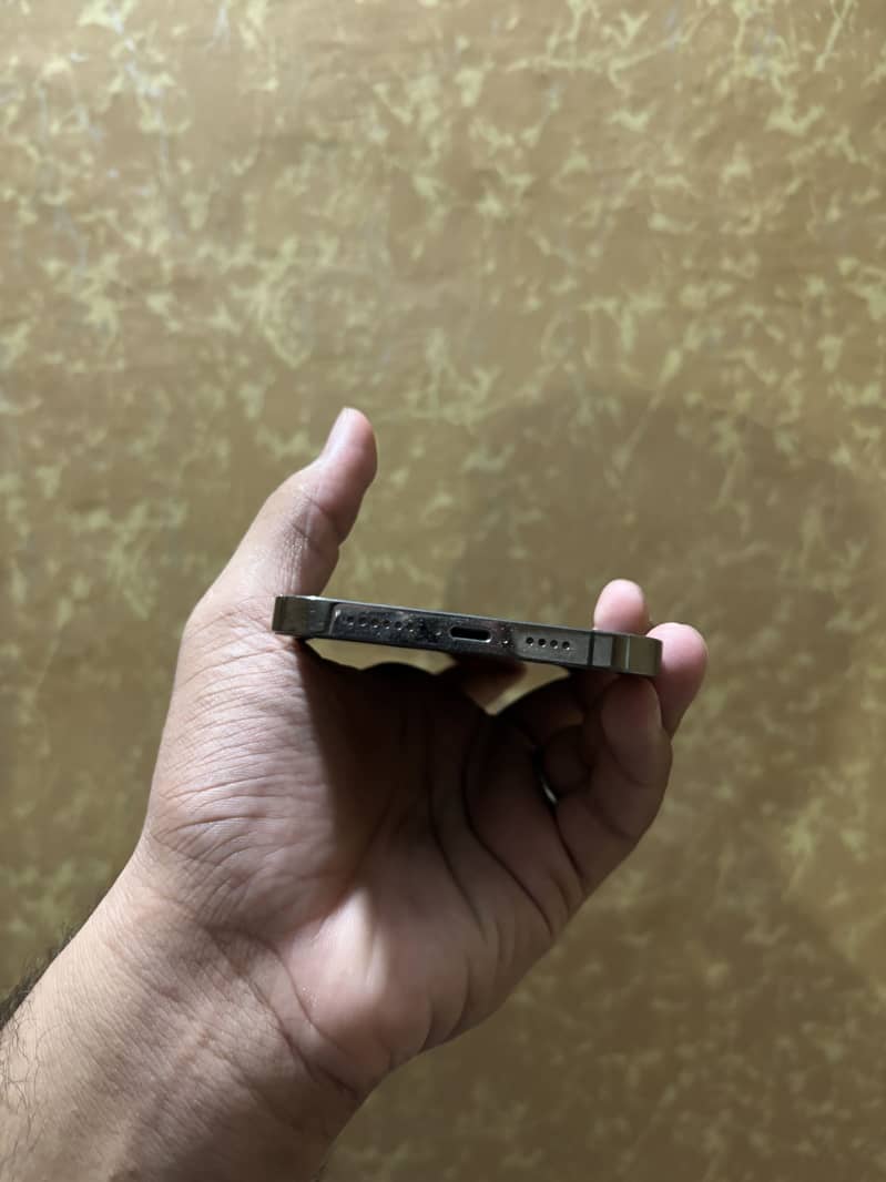 Apple iPhone 12 Pro Max 1