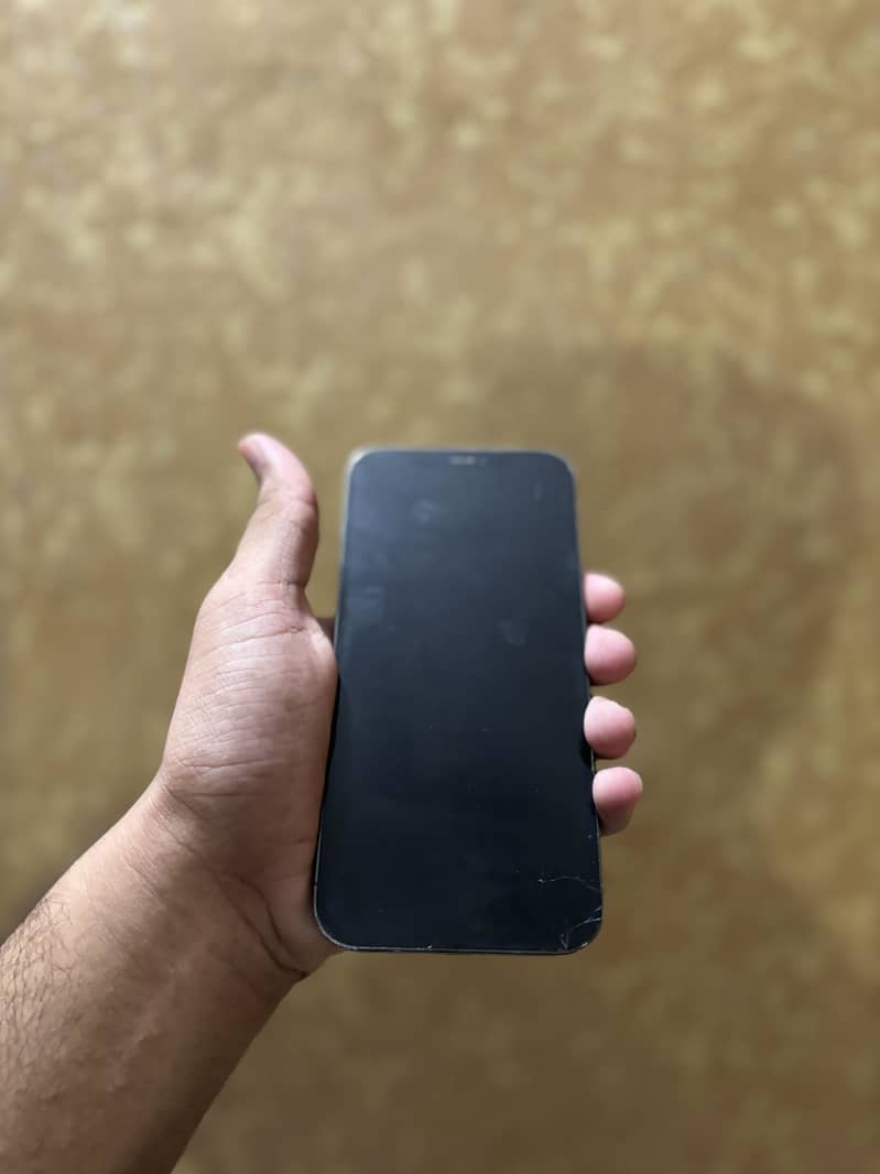 Apple iPhone 12 Pro Max 5