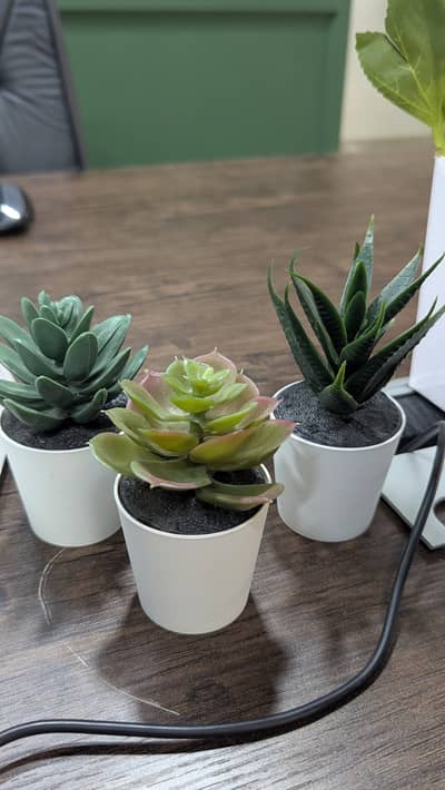 Decorative Artificial Plants & Floral Office Arrangements
