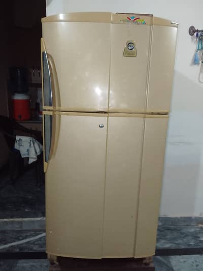 PEL Used Refrigerator