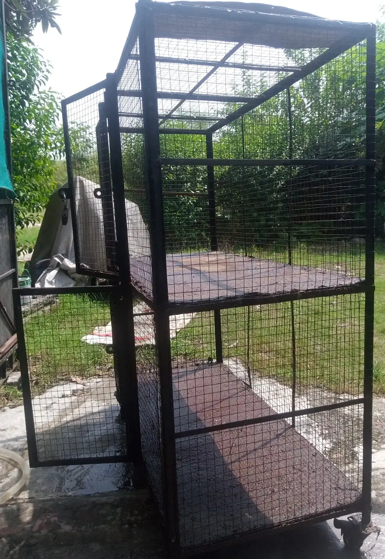 Hen Cage — photo 3