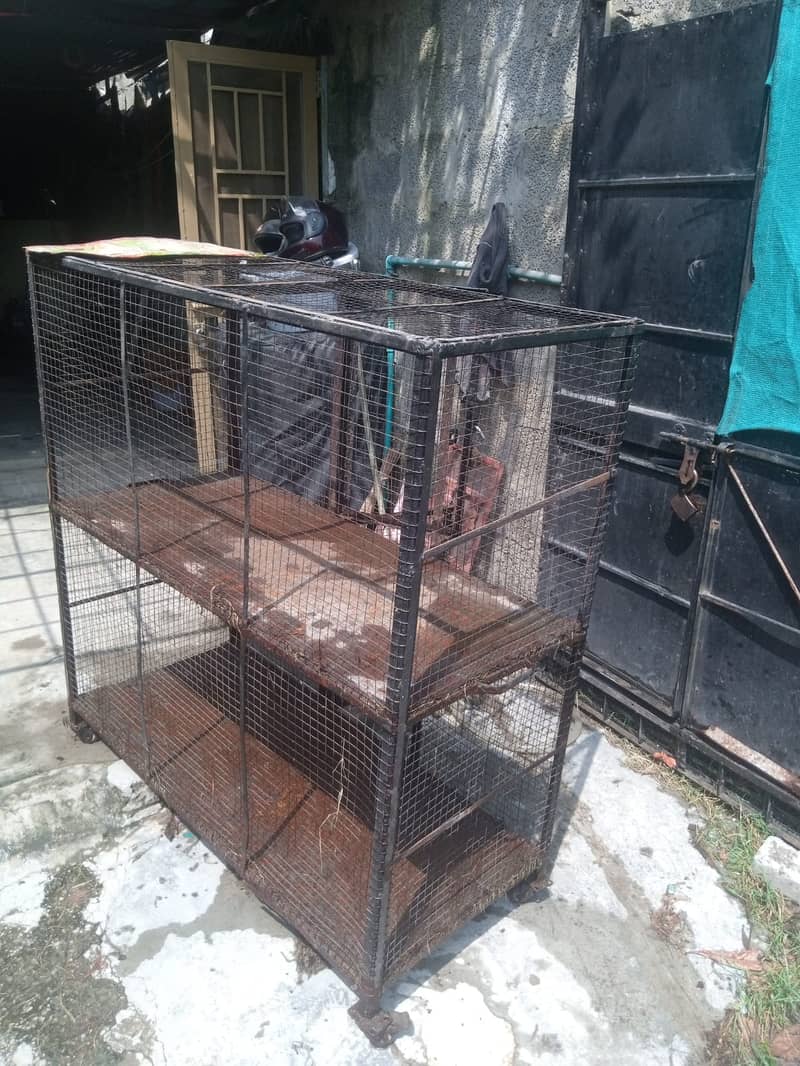 Hen Cage 3