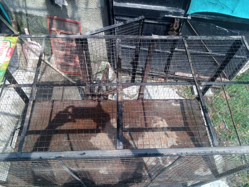 Hen Cage 4