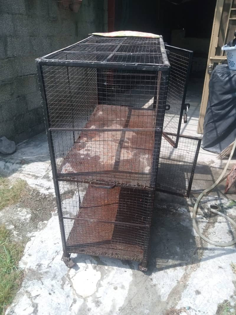 Hen Cage 5