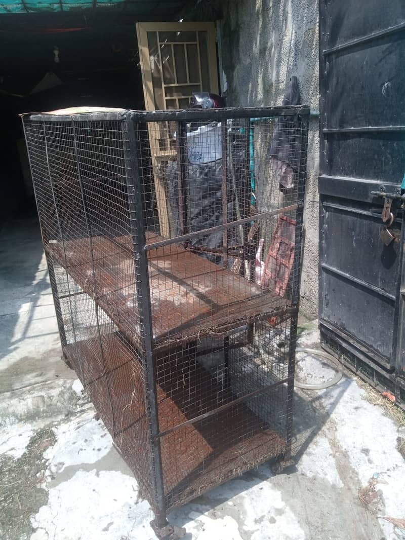 Hen Cage 6