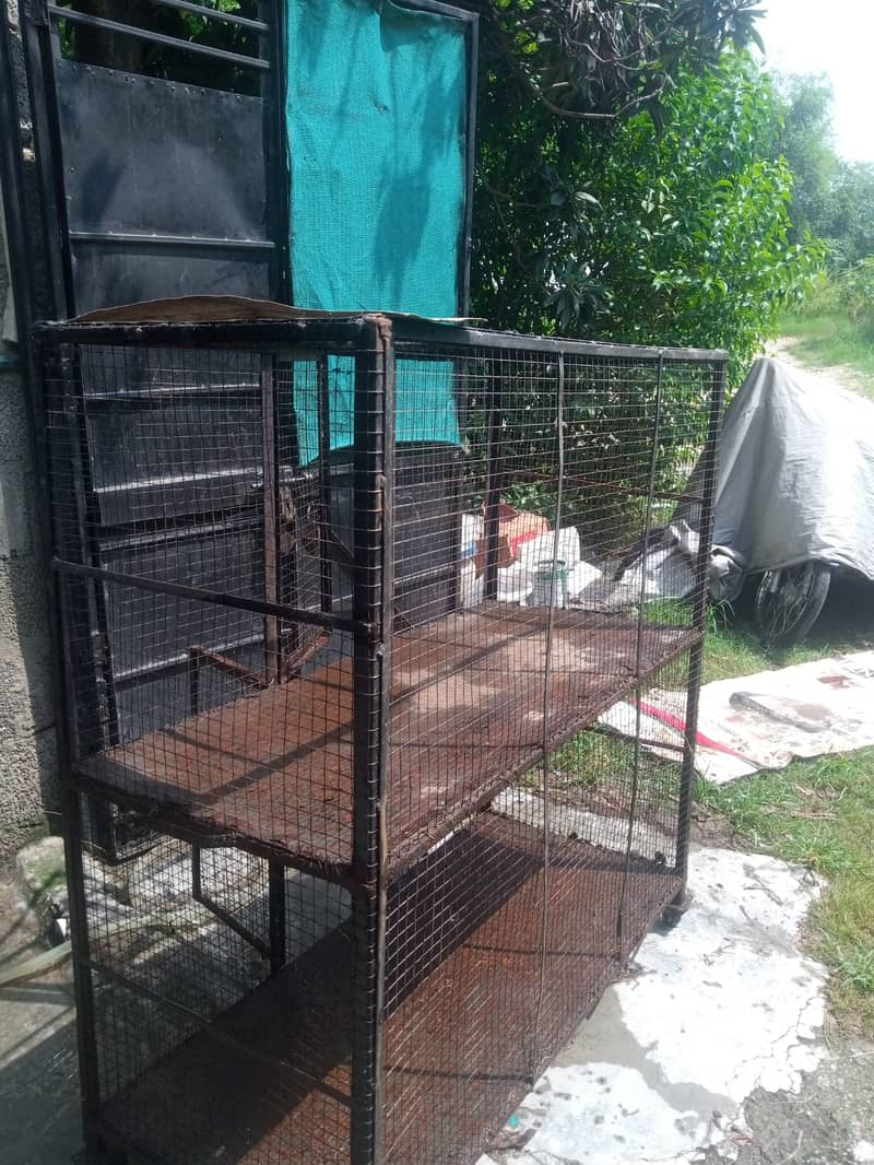 Hen Cage 7