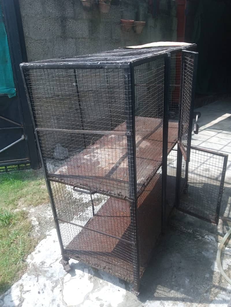 Hen Cage 8