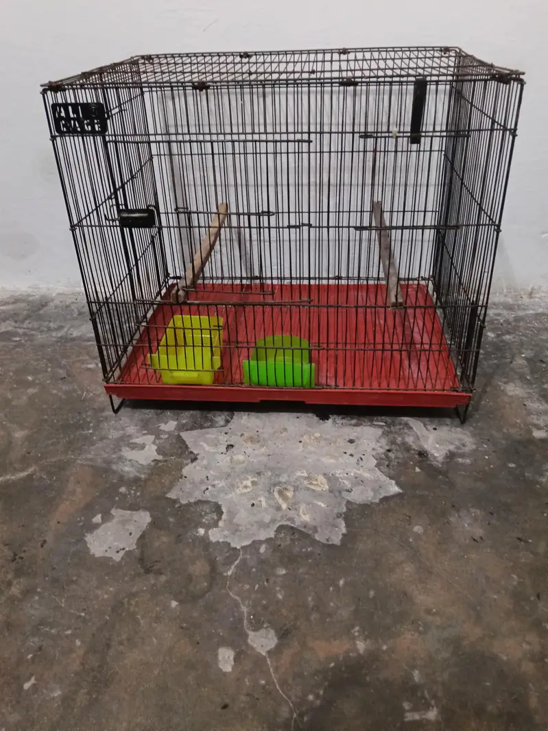 Cage Ali birds cage — photo 2