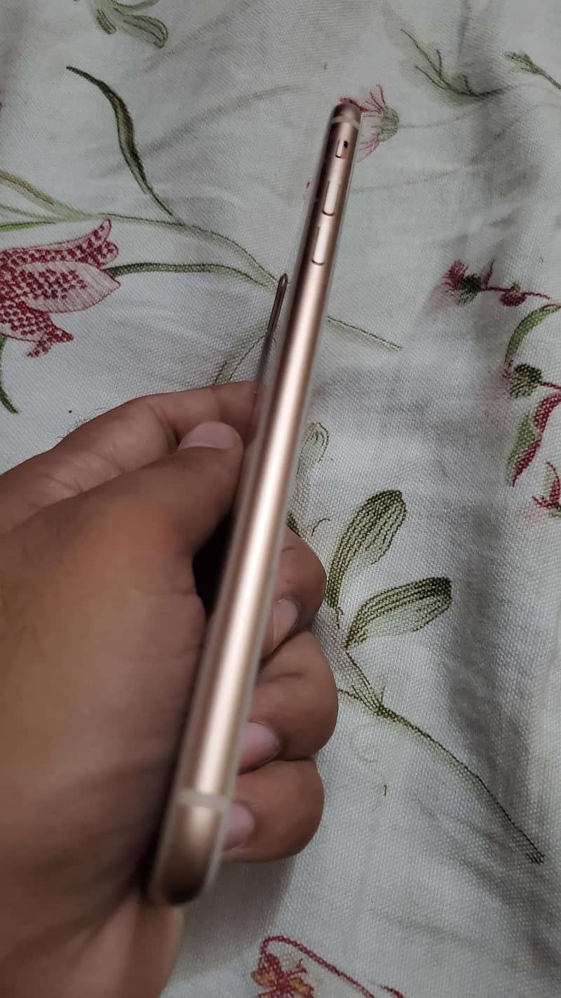 Apple iPhone 8 Plus 3