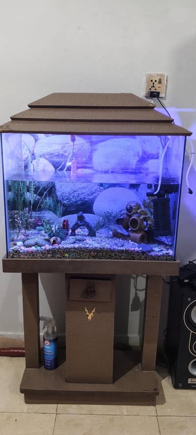 aquarium