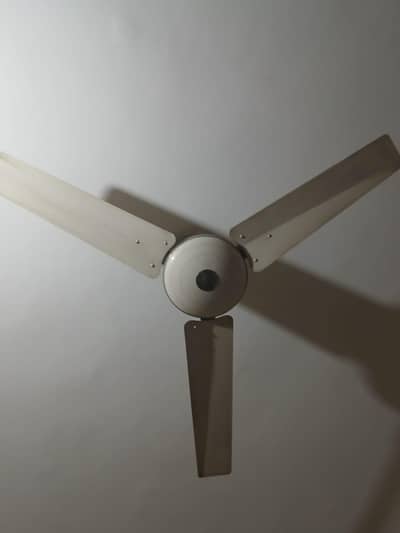 Younas Fan Original 56"