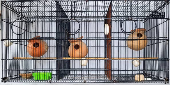 Master Cage
