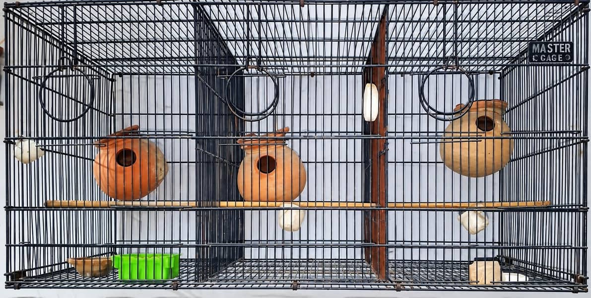 Master Cage 0