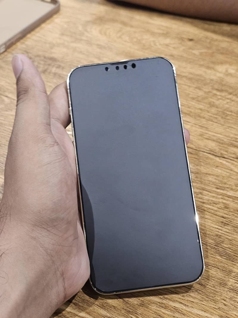 Apple iPhone 13 Pro Max 1