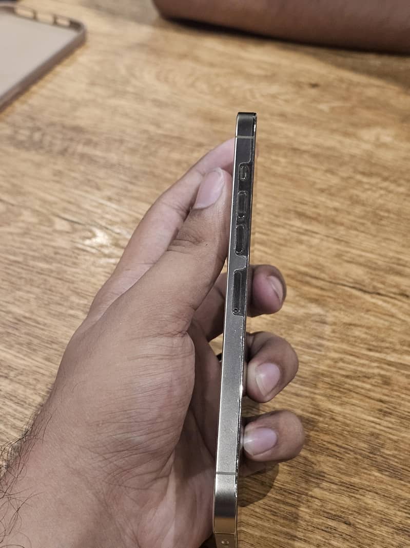 Apple iPhone 13 Pro Max 2