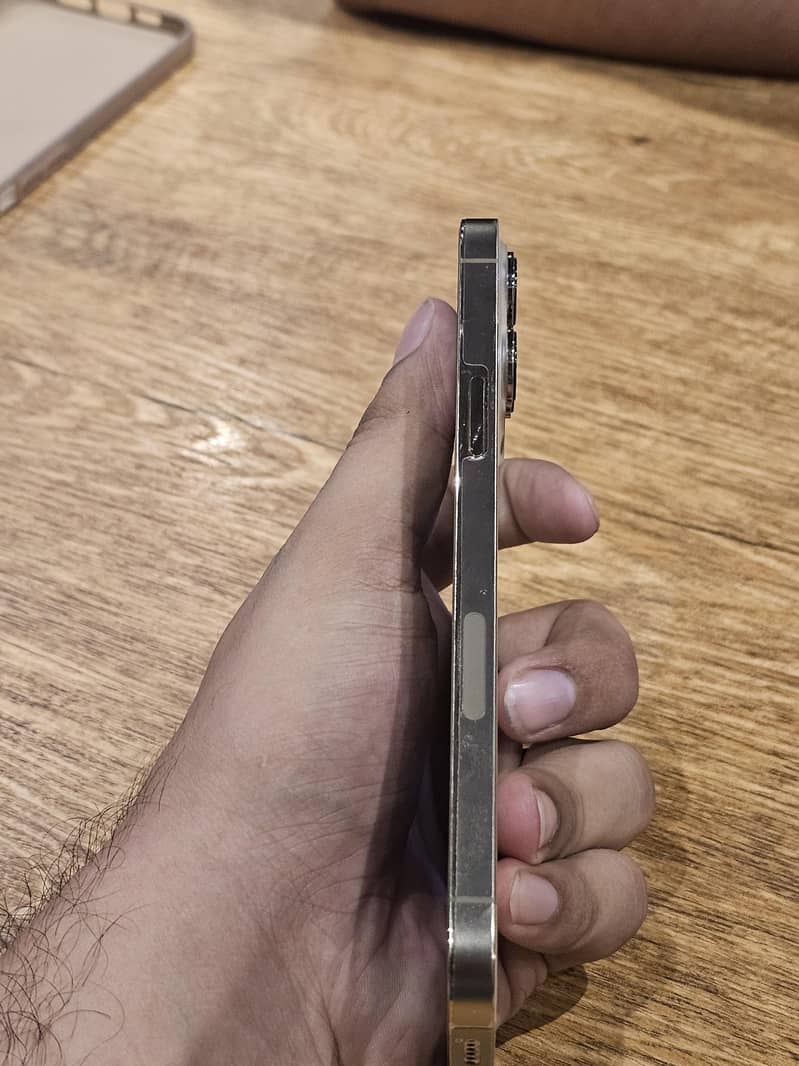 Apple iPhone 13 Pro Max 3