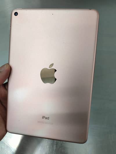 iPad Mini 5 4/64