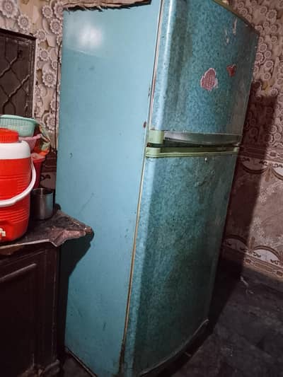 Full Size Refrigerator