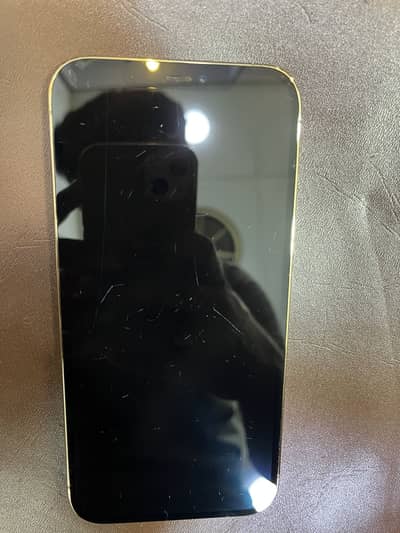 Apple iPhone 12 Pro Max factory unlock.