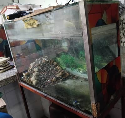 Fish Acoriyam