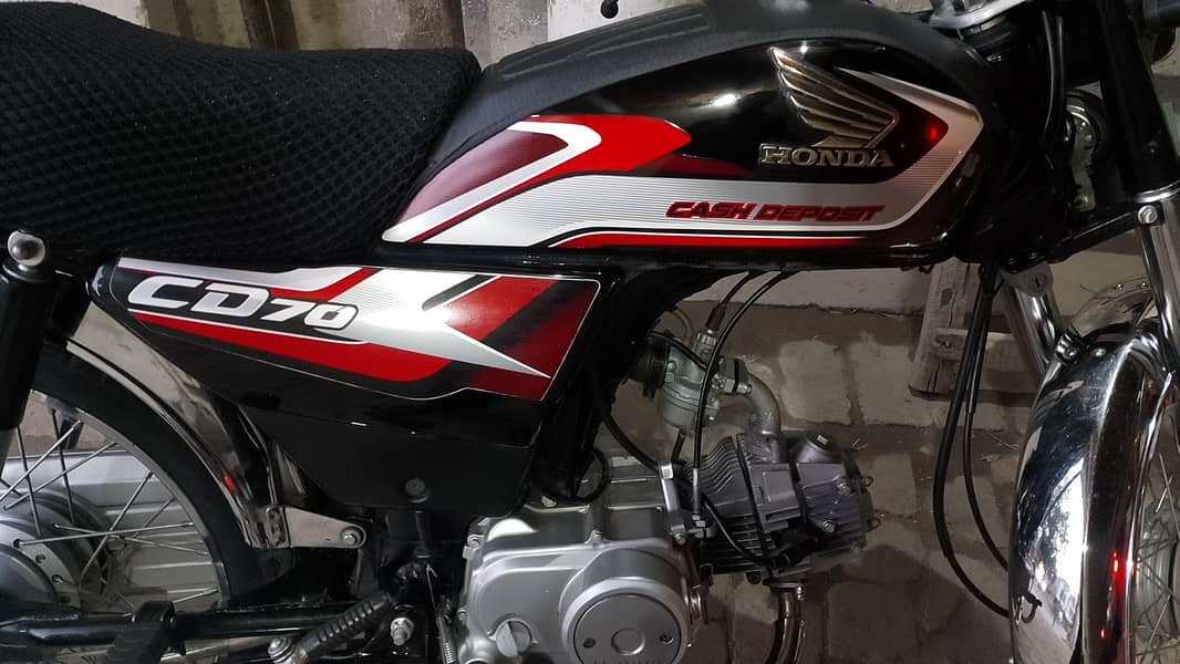 CD70 Black 2024/25 5